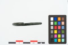 Foto von Bronzering (NHMW-PRAE-025361)